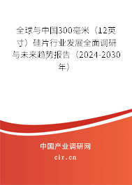 全球與中國300毫米(12英寸)硅片行業(yè)發(fā)展全面調研與未來趨勢報告(2024-2030年) 全球與中國300毫米(12英寸)硅片行業(yè)發(fā)展全面調研與未來趨勢報告(2024-2030年)