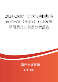 2024-2030年全球與中國埃洛石納米管（HNTs）行業(yè)發(fā)展調研及行業(yè)前景分析報告