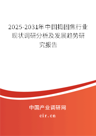 2025-2031年中國搗固焦行業(yè)現(xiàn)狀調(diào)研分析及發(fā)展趨勢研究報告