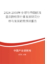 2024-2030年全球與中國(guó)低流量高揚(yáng)程泵行業(yè)發(fā)展研究分析與發(fā)展趨勢(shì)預(yù)測(cè)報(bào)告