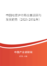 中國電壁爐市場全面調(diào)研與發(fā)展趨勢(2025-2031年) 中國電壁爐市場全面調(diào)研與發(fā)展趨勢(2025-2031年)