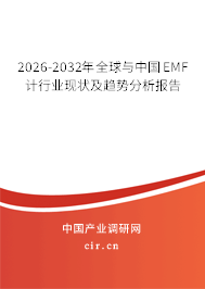 2026-2032年全球與中國EMF計(jì)行業(yè)現(xiàn)狀及趨勢分析報(bào)告