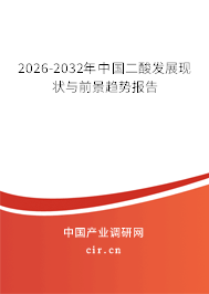 2024-2030年中國二酸發(fā)展現(xiàn)狀與前景趨勢(shì)報(bào)告