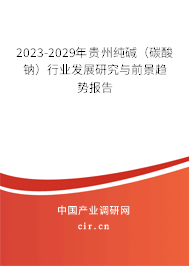 2023-2029年貴州純堿（碳酸鈉）行業(yè)發(fā)展研究與前景趨勢(shì)報(bào)告