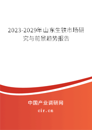 2023-2029年山東生鐵市場研究與前景趨勢報告