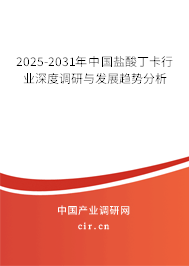 2025-2031年中國鹽酸丁卡行業(yè)深度調(diào)研與發(fā)展趨勢分析