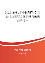 2025-2031年中國(guó)吲哚-2-羧酸行業(yè)發(fā)展全面調(diào)研與未來(lái)趨勢(shì)報(bào)告 2025-2031年中國(guó)吲哚-2-羧酸行業(yè)發(fā)展全面調(diào)研與未來(lái)趨勢(shì)報(bào)告