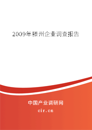 2009年滕州企業(yè)調(diào)查報(bào)告 2009年滕州企業(yè)調(diào)查報(bào)告