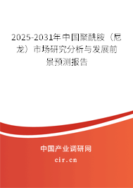 2025-2031年中國聚酰胺（尼龍）市場(chǎng)研究分析與發(fā)展前景預(yù)測(cè)報(bào)告