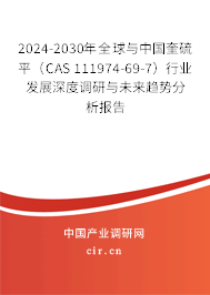 2024-2030年全球與中國(guó)奎硫平（CAS 111974-69-7）行業(yè)發(fā)展深度調(diào)研與未來趨勢(shì)分析報(bào)告