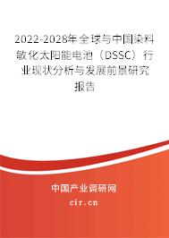 2022-2028年全球與中國染料敏化太陽能電池（DSSC）行業(yè)現(xiàn)狀分析與發(fā)展前景研究報(bào)告