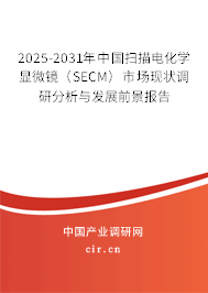 2025-2031年中國掃描電化學(xué)顯微鏡(SECM)市場現(xiàn)狀調(diào)研分析與發(fā)展前景報告 2025-2031年中國掃描電化學(xué)顯微鏡(SECM)市場現(xiàn)狀調(diào)研分析與發(fā)展前景報告