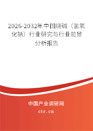 2026-2032年中國(guó)燒堿（氫氧化鈉）行業(yè)研究與行業(yè)前景分析報(bào)告