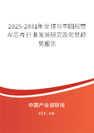 2025-2031年全球與中國視覺AI芯片行業(yè)發(fā)展研究及前景趨勢報(bào)告
