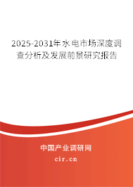 2025-2031年水電市場(chǎng)深度調(diào)查分析及發(fā)展前景研究報(bào)告