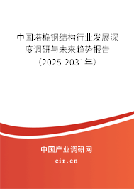 中國塔桅鋼結(jié)構(gòu)行業(yè)發(fā)展深度調(diào)研與未來趨勢報(bào)告(2025-2031年) 中國塔桅鋼結(jié)構(gòu)行業(yè)發(fā)展深度調(diào)研與未來趨勢報(bào)告(2025-2031年)