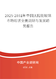 2025-2031年中國太陽能玻璃市場現狀全面調研與發(fā)展趨勢報告