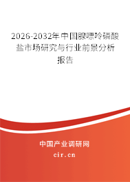 2026-2032年中國腺嘌呤磷酸鹽市場研究與行業(yè)前景分析報(bào)告