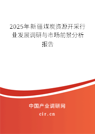 2025年新疆煤炭資源開采行業(yè)發(fā)展調(diào)研與市場前景分析報告 2025年新疆煤炭資源開采行業(yè)發(fā)展調(diào)研與市場前景分析報告