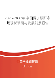 2026-2032年中國異丁酸酐市場現狀調研與發(fā)展前景報告