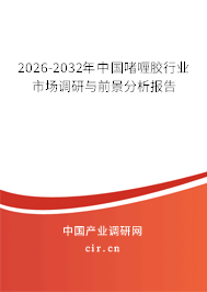 2026-2032年中國啫喱膠行業(yè)市場調(diào)研與前景分析報告