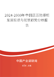 2024-2030年中國正壓防爆柜發(fā)展現(xiàn)狀與前景趨勢分析報告