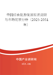 中國綜合能源發(fā)展現(xiàn)狀調(diào)研與市場前景分析（2025-2031年）