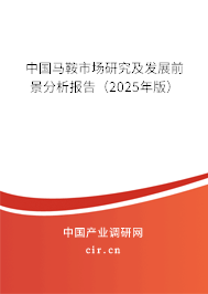 中國馬鞍市場研究及發(fā)展前景分析報(bào)告（2025年版）