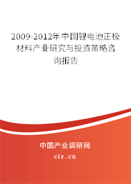 2009-2012年中國鋰電池正極材料產(chǎn)業(yè)研究與投資策略咨詢報(bào)告