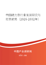 中國磁力泵行業(yè)發(fā)展研究與前景趨勢（2026-2032年）