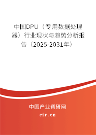 中國DPU（專用數(shù)據(jù)處理器）行業(yè)現(xiàn)狀與趨勢分析報(bào)告（2025-2031年）