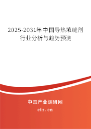2024-2030年中國導熱填縫劑行業(yè)分析與趨勢預測