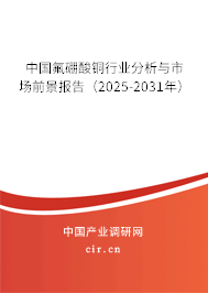 中國氟硼酸銅行業(yè)分析與市場前景報(bào)告（2025-2031年）
