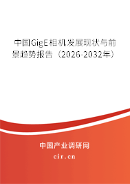 中國GigE相機發(fā)展現(xiàn)狀與前景趨勢報告（2025-2031年）