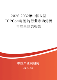 2026-2032年中國(guó)N型TOPCon電池片行業(yè)市場(chǎng)分析與前景趨勢(shì)報(bào)告