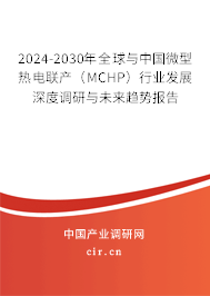 2024-2030年全球與中國微型熱電聯(lián)產(chǎn)(MCHP)行業(yè)發(fā)展深度調(diào)研與未來趨勢報(bào)告 2024-2030年全球與中國微型熱電聯(lián)產(chǎn)(MCHP)行業(yè)發(fā)展深度調(diào)研與未來趨勢報(bào)告