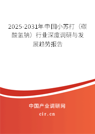 2025-2031年中國小蘇打（碳酸氫鈉）行業(yè)深度調(diào)研與發(fā)展趨勢(shì)報(bào)告