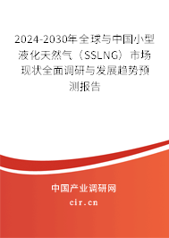 2024-2030年全球與中國小型液化天然氣（SSLNG）市場現(xiàn)狀全面調(diào)研與發(fā)展趨勢預(yù)測報(bào)告