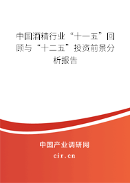 中國(guó)酒精行業(yè)“十一五”回顧與“十二五”投資前景分析報(bào)告 中國(guó)酒精行業(yè)“十一五”回顧與“十二五”投資前景分析報(bào)告