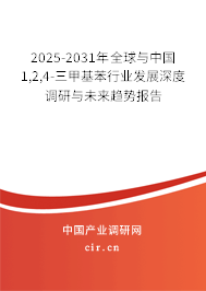 2025-2031年全球與中國1,2,4-三甲基苯行業(yè)發(fā)展深度調(diào)研與未來趨勢報告 2025-2031年全球與中國1,2,4-三甲基苯行業(yè)發(fā)展深度調(diào)研與未來趨勢報告