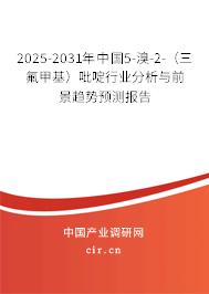 2025-2031年中國(guó)5-溴-2-（三氟甲基）吡啶行業(yè)分析與前景趨勢(shì)預(yù)測(cè)報(bào)告