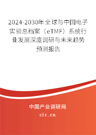 2024-2030年全球與中國電子實驗總檔案(eTMF)系統(tǒng)行業(yè)發(fā)展深度調(diào)研與未來趨勢預測報告 2024-2030年全球與中國電子實驗總檔案(eTMF)系統(tǒng)行業(yè)發(fā)展深度調(diào)研與未來趨勢預測報告