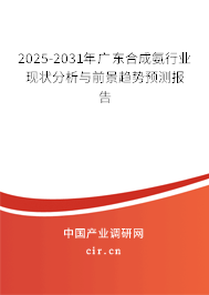 2025-2031年廣東合成氨行業(yè)現(xiàn)狀分析與前景趨勢預測報告