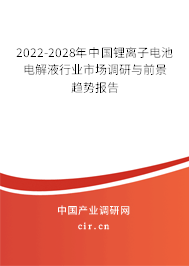 2022-2028年中國鋰離子電池電解液行業(yè)市場調(diào)研與前景趨勢報告