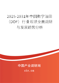 2025-2031年中國數(shù)字油田（DOF）行業(yè)現(xiàn)狀全面調(diào)研與發(fā)展趨勢分析