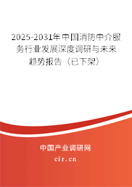 2025-2031年中國(guó)消防中介服務(wù)行業(yè)發(fā)展深度調(diào)研與未來(lái)趨勢(shì)報(bào)告（已下架）