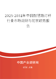 2025-2031年中國智慧路燈桿行業(yè)市場調(diào)研與前景趨勢報告 2025-2031年中國智慧路燈桿行業(yè)市場調(diào)研與前景趨勢報告
