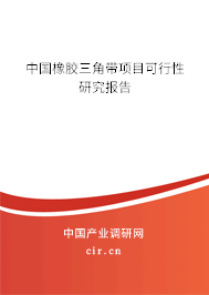 中國橡膠三角帶項目可行性研究報告 中國橡膠三角帶項目可行性研究報告