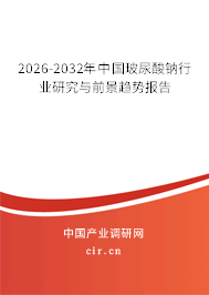2026-2032年中國(guó)玻尿酸鈉行業(yè)研究與前景趨勢(shì)報(bào)告 2026-2032年中國(guó)玻尿酸鈉行業(yè)研究與前景趨勢(shì)報(bào)告