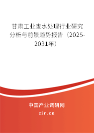 甘肅工業(yè)廢水處理行業(yè)研究分析與前景趨勢報告(2025-2031年) 甘肅工業(yè)廢水處理行業(yè)研究分析與前景趨勢報告(2025-2031年)